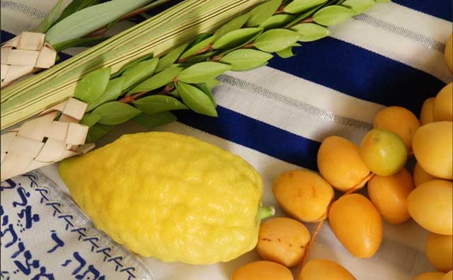 What is Sukkot festivity